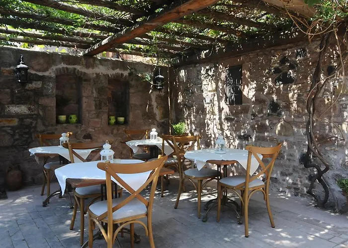 Derya Hanim Konagi *