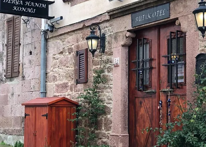 Derya Hanim Konagi *