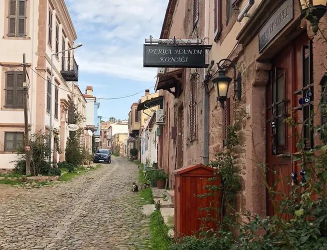 בית הארחה Derya Hanim Konagi *