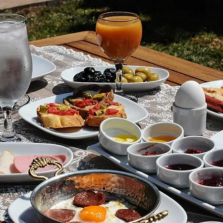 Derya Hanim Konagi *