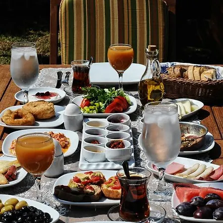 ゲストハウス Derya Hanim Konagi Ayvalı