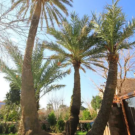 Vendégház Derya Hanim Konagi Ayvalı