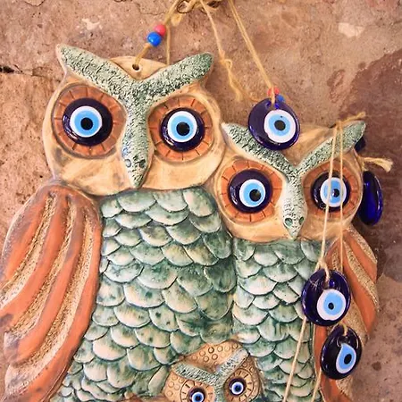 Derya Hanim Konagi ゲストハウス *