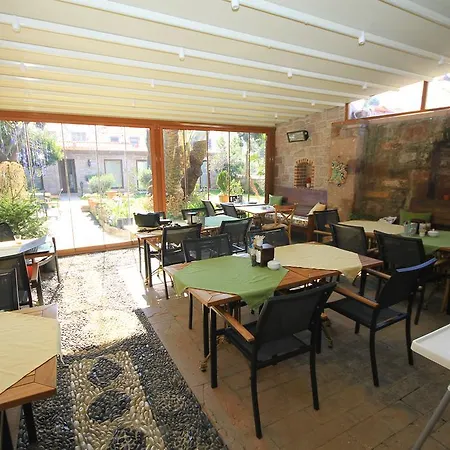 Derya Hanim Konagi *