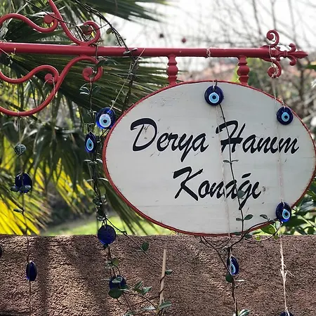 Derya Hanim Konagi * Ayvalı