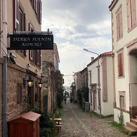 ゲストハウス Derya Hanim Konagi