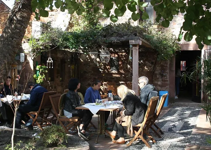 Derya Hanim Konagi *