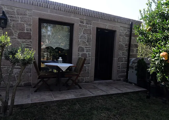 Derya Hanim Konagi *