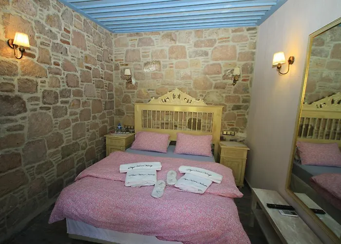 Derya Hanim Konagi *