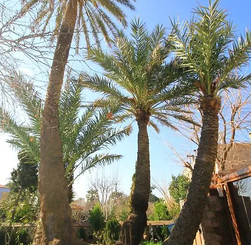 Pensión Derya Hanim Konagi Ayvalı